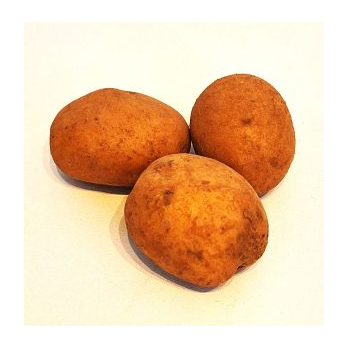 Kartoffel Afra lose mehlig kochend