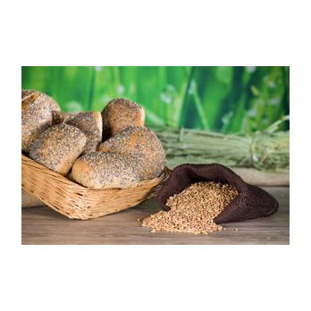 Bio Dinkelvitalbrötchen