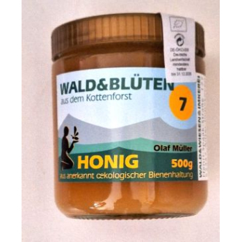 Wald und Blüte Kottenforst