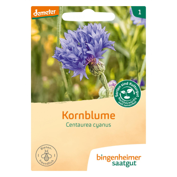 Kornblume - blau