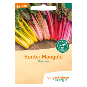Mangold Rainbow