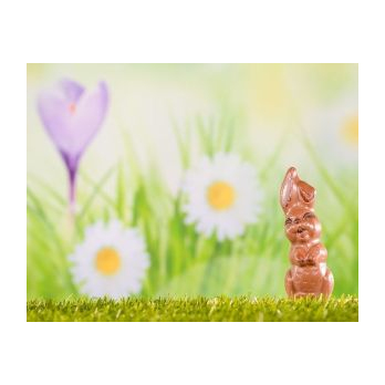 Vollmilch-Schokoladenhase, 12 cm