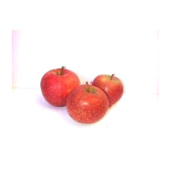 Apfel Natyra