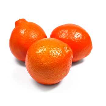 Minneola