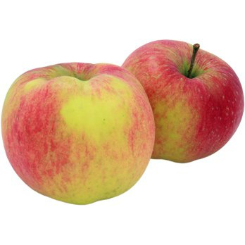 Apfel Santana