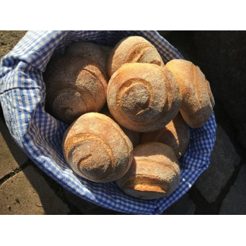 Steinofenbrötchen